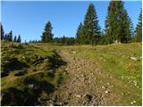 Za Ušivcem - Gradišče (Velika planina)